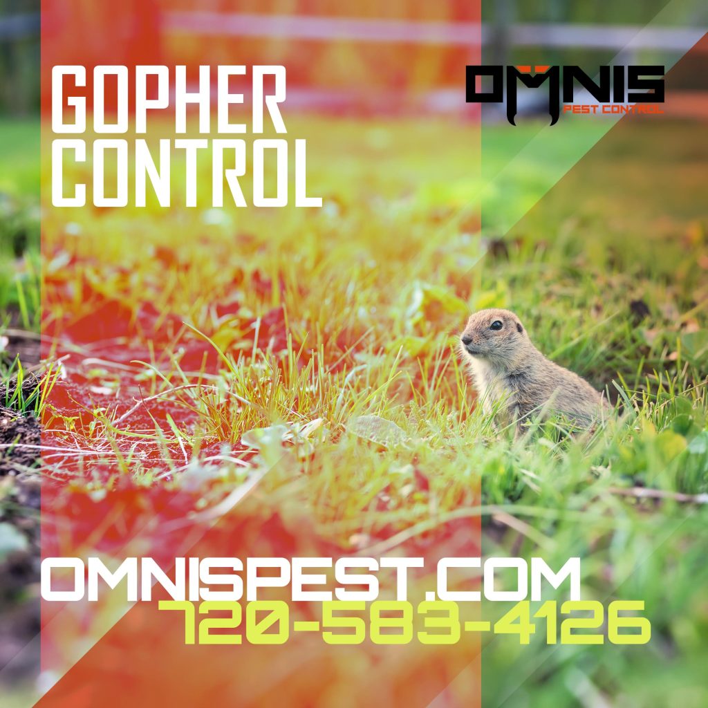 OMNIS social media posts June 26 gopher control OMNIS social media posts June 26 gopher control