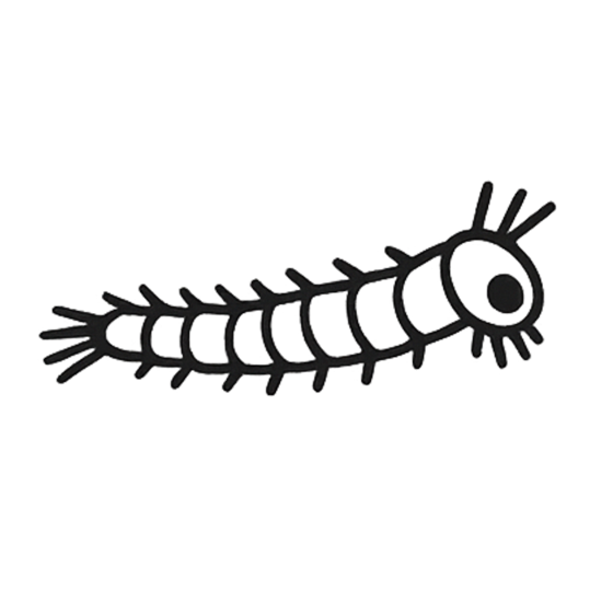 Mosquito stage 2: larva