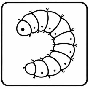moth larva icon