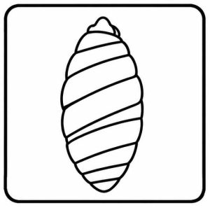 moth pupa icon
