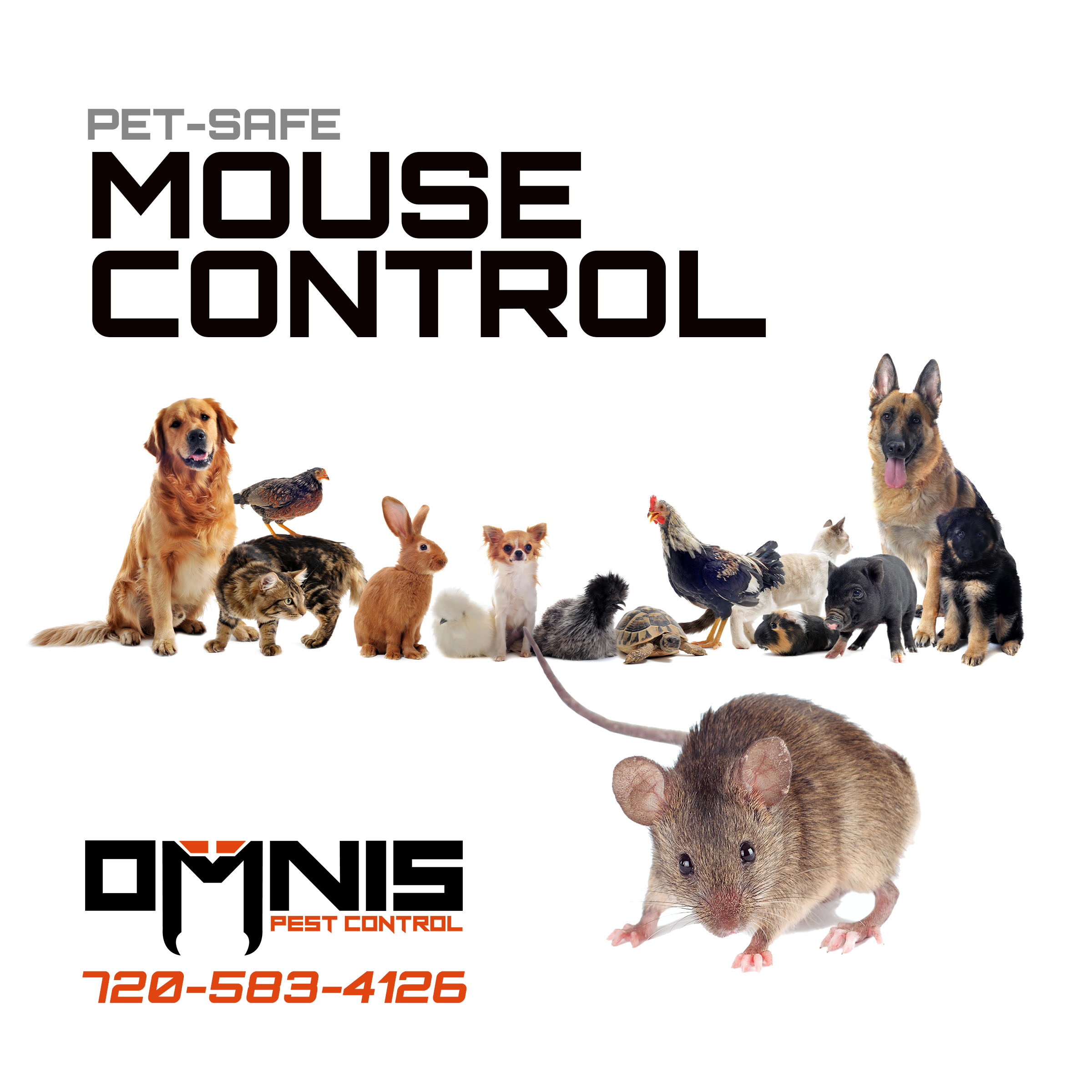 OMNIS pet safe mouse control