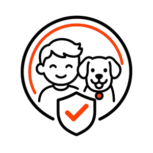 safety first icon