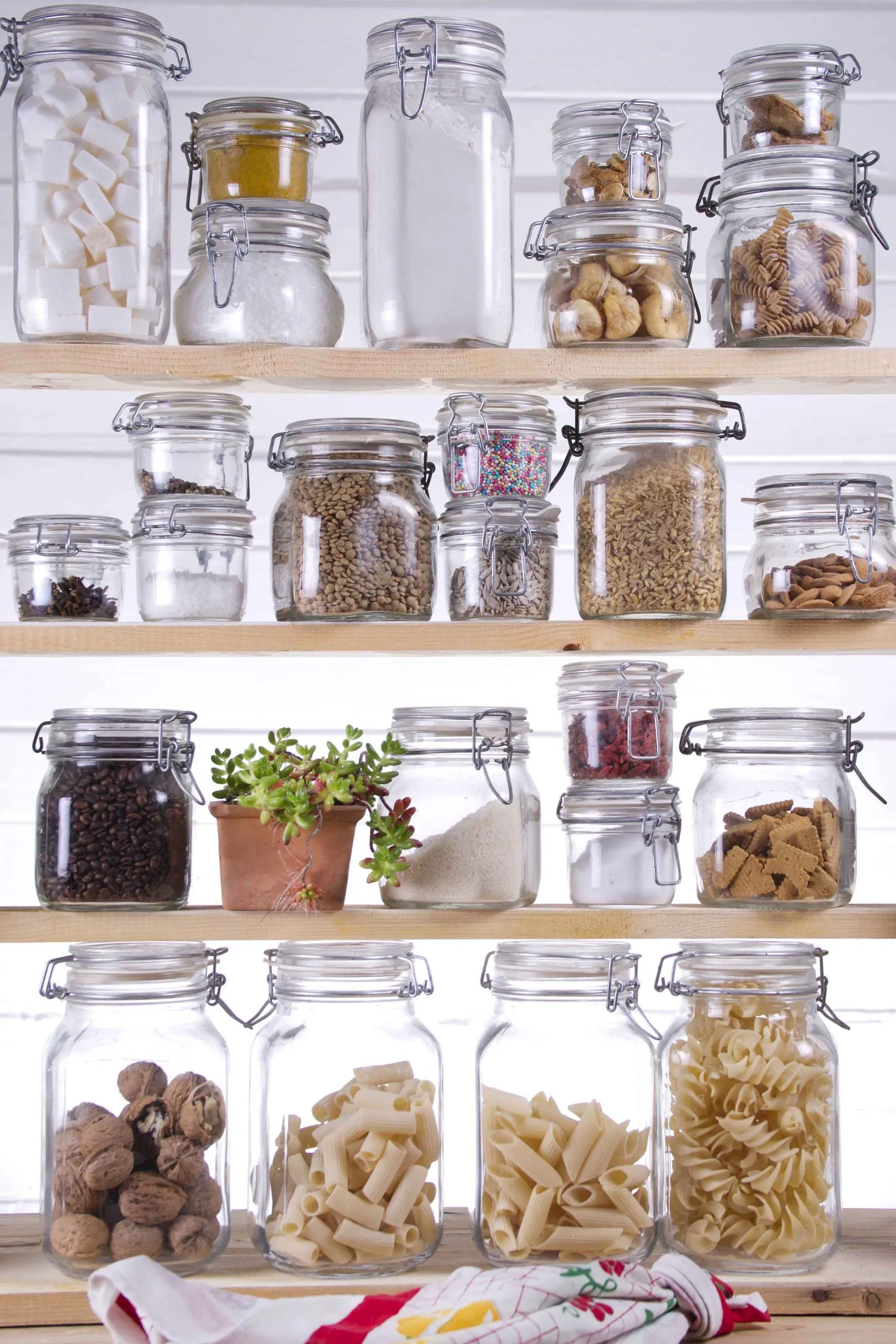 mouse proof glass jars