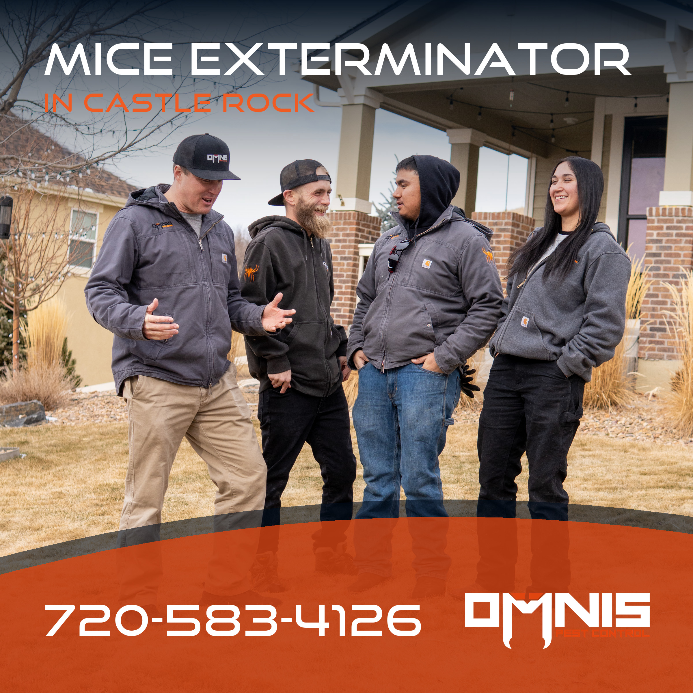 When To Call An Exterminator For Mice